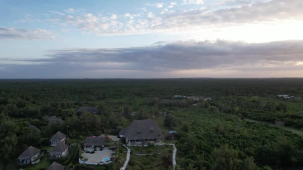 Noite Paisagem Verde Ilha Zanzibar — Vídeo de Stock