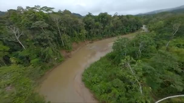 Emocionante Vuelo Bajo Fpv Sobre Río Amazonas Invadido Por Densa — Vídeo de stock