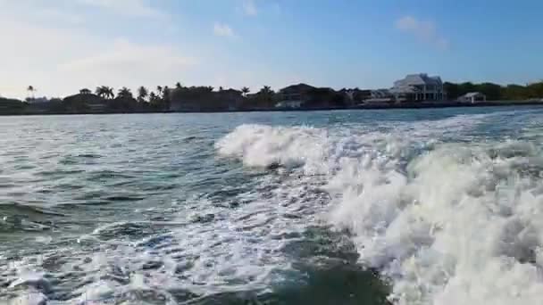 Δελφίνια Ακολουθούν Βάρκα Αφύπνισης Καθώς Κυλάνε Και Κολυμπούν Μέσα Από — Αρχείο Βίντεο