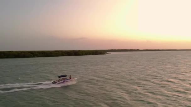 Luchtfoto Zijwaarts Volg Speedboat Cruisen Rivier Campinos Bij Zonsondergang Brazilië — Stockvideo