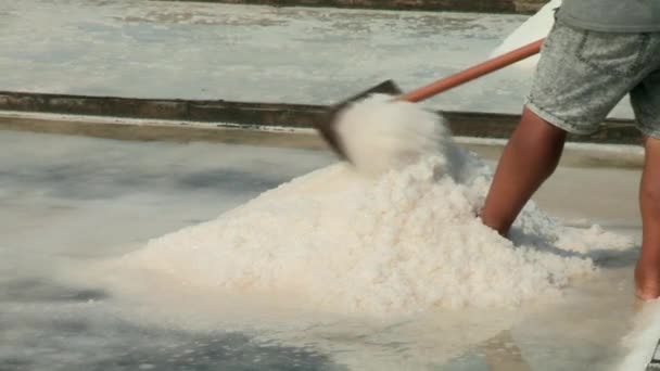 男人用木铲拉和收集盐的特写 拉索拉 非常漂亮 — 图库视频影像