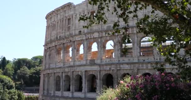 Coliseo Hito Icónico Roma Italia Julio — Vídeo de stock