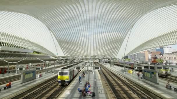 Vista Panorámica Estación Tren Lige Guillemins Con Pasajeros Andén Tren — Vídeo de stock