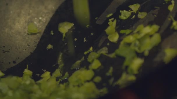 Saupoudrer Poivrons Herbes Hachés Sur Une Casserole Sur Une Grille — Video