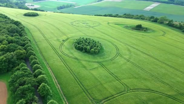 Aerial View Wiltshire Mathematical Crop Circle Formation Lush Agricultural Countryside — Stock Video