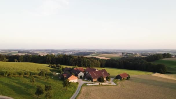 Bauernhäuser Auf Sanften Hügeln Schöne Landschaft Zur Goldenen Stunde — Stockvideo