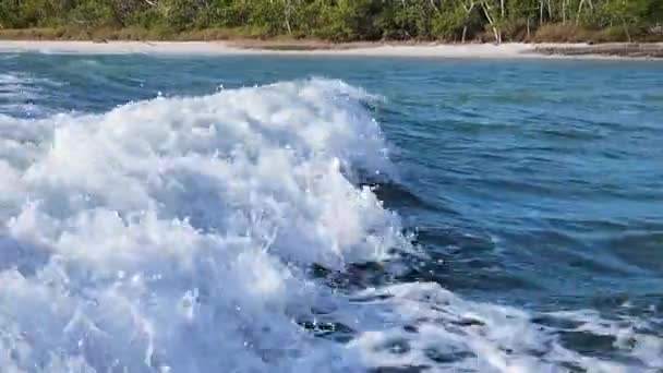 Closeup Dolphins Jumping Waves Close Motor Boat Swim Follow Engine — Stok Video