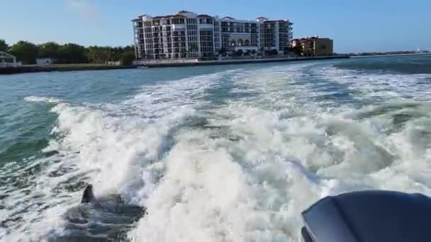 Golfinho Nadando Bem Lado Motor Como Espalha Backwash Boat Wake — Vídeo de Stock