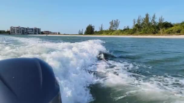 Дельфин Плавающий Лодке Уэйк Берегов Луизианы Мексиканском Заливе Морские Дикие — стоковое видео