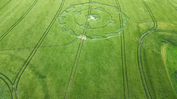 Εναέρια Άποψη Γεωμετρικό Αγρογλυφικό Birdseye Πάνω Από Καταπράσινο Λιβάδι Wiltshire — Αρχείο Βίντεο