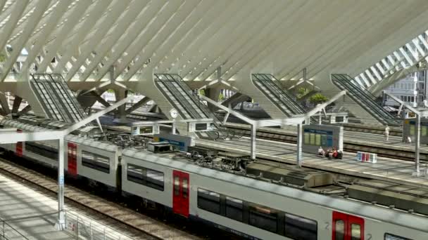 Timelapse Stacji Kolejowej Lige Guillemins Walonii Belgia Pojęcie Transportu Publicznego — Wideo stockowe