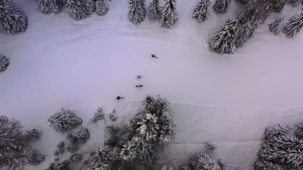 スノーボーダーやスキーヤーの上の空中ビュー イタリアのチロルでのスキー トップダウン ドローンショット — ストック動画