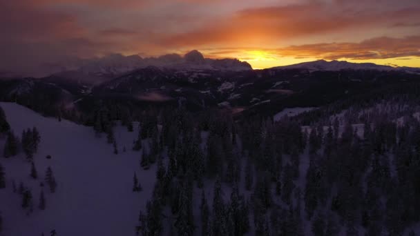 Aerial View Landscape Snowy Trees Sunlit Mountains Winter Tirol Italy — Stock Video