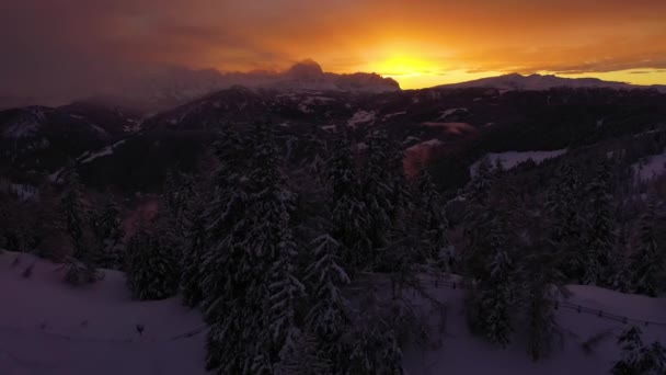Letecký Výhled Mrazivé Stromy Směrem Podsvíceným Horám Zima Tyrolsku Itálie — Stock video