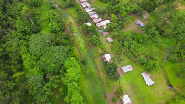 コロンビアのアマゾン川の岸 アマゾンの森の背景に近いプエルトリノに近づいて 前方に撮影された空中ビュー — ストック動画