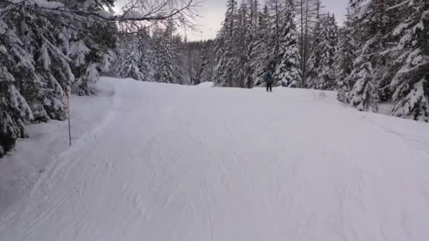 Vista Aérea Esquiador Fondo Medio Bosque Nevado Tirol Italia — Vídeo de stock