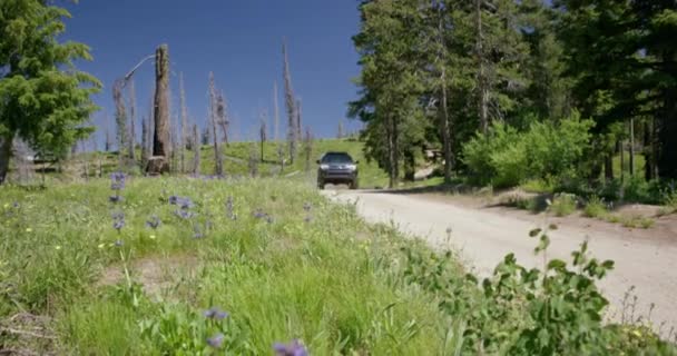Машина Їде Курною Лукою Запиленій Гірській Дорозі Лісах Айдахо — стокове відео