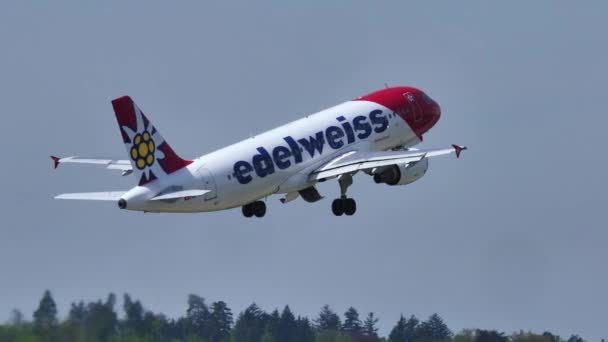 Αεροπλάνο Edelweiss Που Φέρουν Στον Ουρανό Από Αεροδρόμιο Runway Αργή — Αρχείο Βίντεο