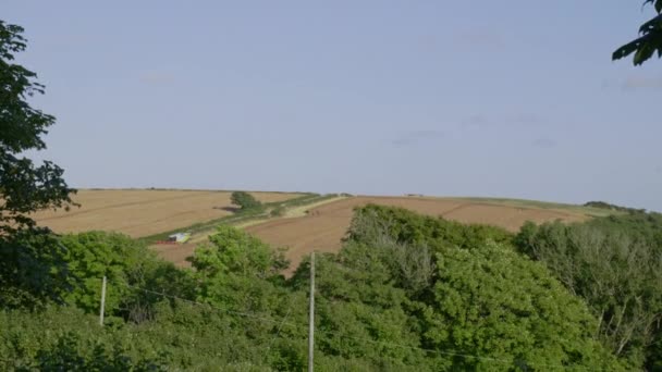 Combine Harvester British Field — Stock Video