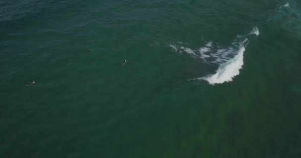 Luftaufnahme Einer Einsamen Welle Abano Guincho Der Nähe Der Festung — Stockvideo