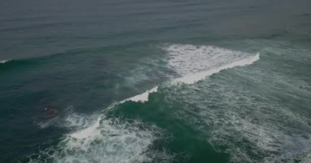 アバノ ギンチョ のロンリーサーフィン素晴らしい波 ビーチポルトガル静的ドローン航空 銀町の砦の近くで — ストック動画