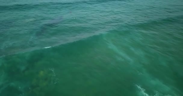 Aerial View Beauty Wave Abano Guincho Fort Guincho — Stock Video