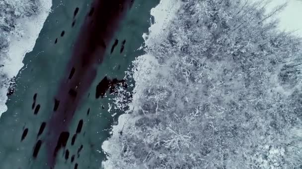 Rio Congelado Através Uma Floresta Gelada Nevada Deserto Das Maravilhas — Vídeo de Stock