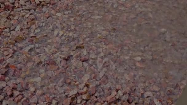 Slow Motion Footage Rain Falling Bed Red Rocks — Stock Video