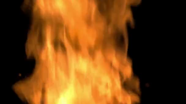 Feuerflamme Hintergrund Brandpartikel — Stockvideo