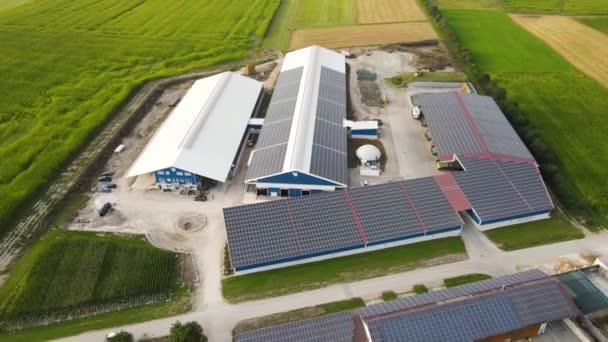 フルHdで撮影されたドイツのミルク農場のドローンショット — ストック動画