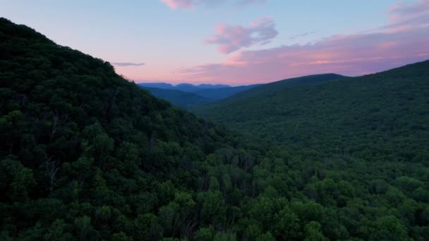 阿巴拉契亚山脉美丽多彩的夏日落日美丽的无人机画面 — 图库视频影像