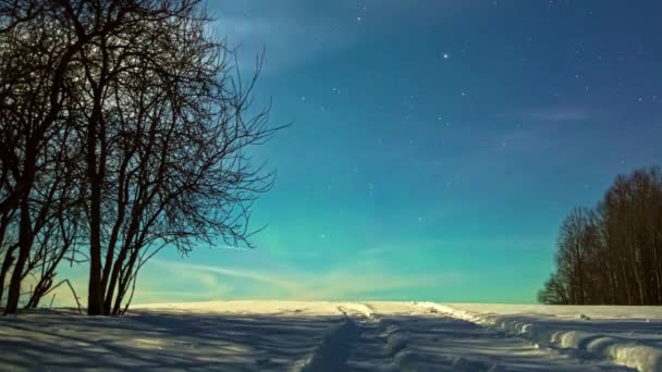 Luzes Norte Aurora Boreal Estão Dançando Logo Acima Horizonte Uma — Vídeo de Stock