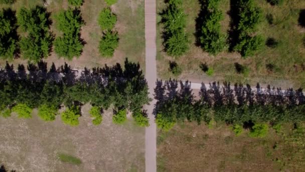 Schöne Drohnenaufnahme Eines Grundstücks Montpellier Frankreich — Stockvideo