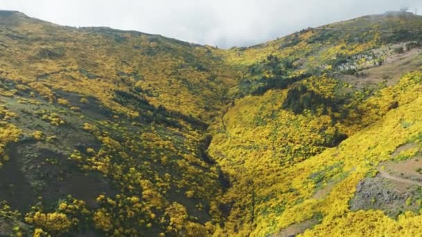 Sonbaharda Bulutlar Sarı Yapraklarla Pico Areeiro Zirvesi Nde Uçmak Portekiz — Stok video