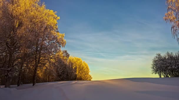 夕方の時間帯に白い雪の厚い層を歩く女性のタイムラプスショット 青い空を通過するサーラス雲 — ストック動画