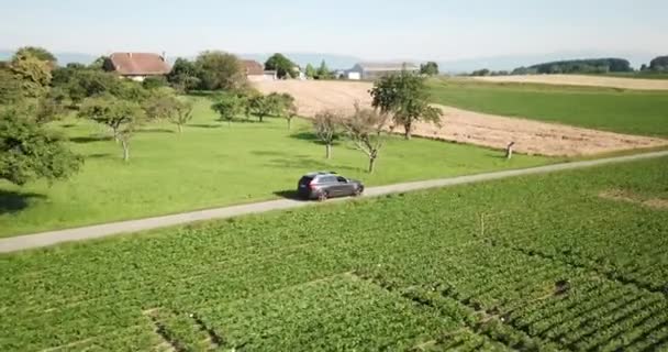 Carro Volvo Suv Move Ritmo Lento Uma Estrada Entre Campos — Vídeo de Stock
