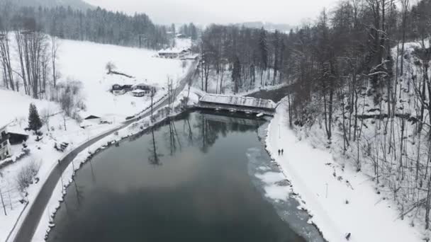 Dron Aeiral Europejskiego Jeziora Zimowego Stopniowany — Wideo stockowe