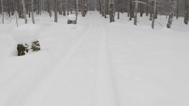 Drone Aéreo Del Bosque Invernal Europeo Sin Clasificar — Vídeos de Stock