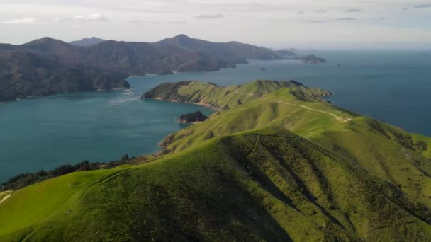 Bela Paisagem Costeira Aérea Fiorde Colina Pasto Verde Ilha Florestada — Vídeo de Stock