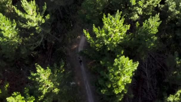 Kaland Emberek Hegyi Kerékpárok Lovaglás Földút Keresztül Fenyőerdő Légi — Stock videók