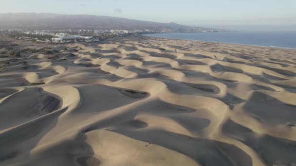 大加那利群岛马斯帕洛马斯沙丘奇形怪状的风扫图案 空中景观 — 图库视频影像