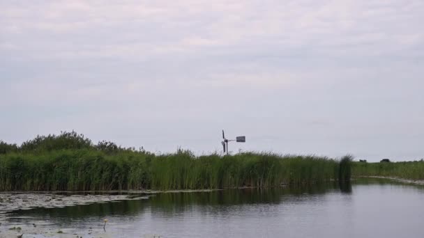 Pov Uma Boatride Calma Através Juncos Waterlillies Países Baixos — Vídeo de Stock