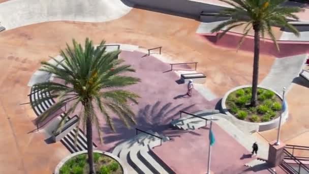 Paseo Patinador Parque Público Skate Con Palmeras Vista Aérea Hacia — Vídeos de Stock