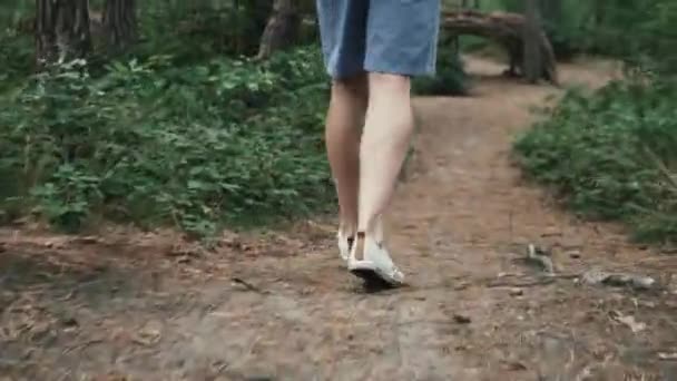穿着漂亮衣服在绿色的比利时森林里散步的人 — 图库视频影像