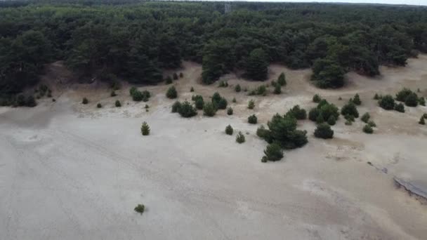 Drohne Über Der Sahara Lommel Belgien — Stockvideo