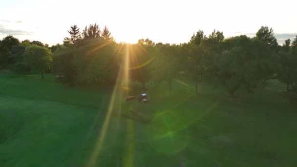 Campo Golfe Manutenção Bola Coletor Cortador Equipamentos Vista Aérea — Vídeo de Stock