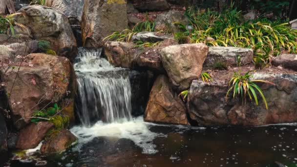 Klidný Proud Mini Vodopády Asijské Části Sarah Duke Gardens Duke — Stock video