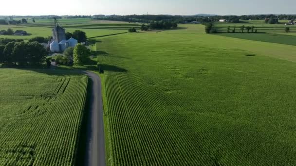 Campos Agrícolas Verdes Rolando Nos Eua Pullback Aéreo Revelar Terras — Vídeo de Stock