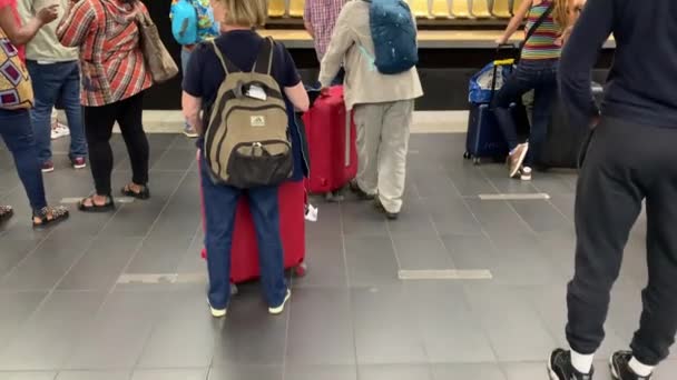 Locals Tourists Luggage Waiting Train Chatelet Les Halles Platform Paris — 비디오