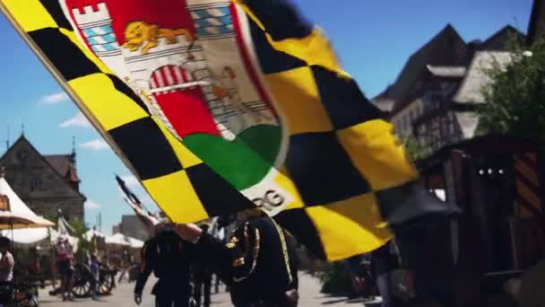 Videó Neuburg Der Donau Palatinate Neuburg Zászlóit Lobogtató Emberekről Bajorországi — Stock videók